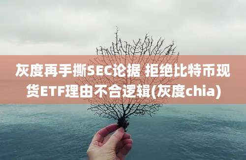 灰度再手撕SEC论据 拒绝比特币现货ETF理由不合逻辑(灰度chia)