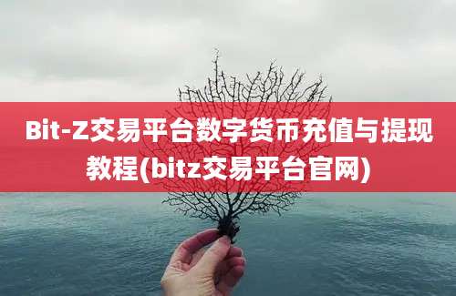 Bit-Z交易平台数字货币充值与提现教程(bitz交易平台官网)