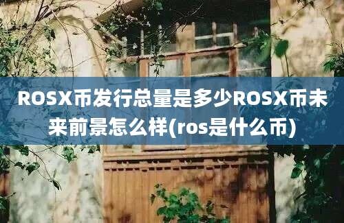 ROSX币发行总量是多少ROSX币未来前景怎么样(ros是什么币)