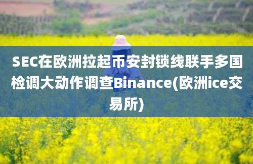 SEC在欧洲拉起币安封锁线联手多国检调大动作调查Binance(欧洲ice交易所)