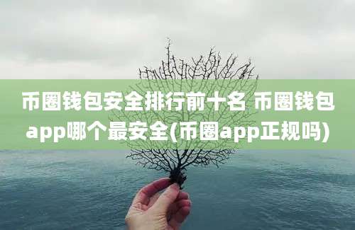 币圈钱包安全排行前十名 币圈钱包app哪个最安全(币圈app正规吗)