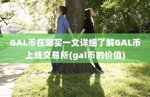 GAL币在哪买一文详细了解GAL币上线交易所(gal币的价值)