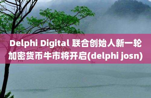 Delphi Digital 联合创始人新一轮加密货币牛市将开启(delphi josn)