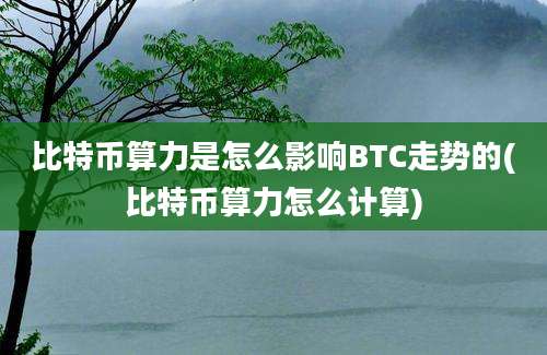 比特币算力是怎么影响BTC走势的(比特币算力怎么计算)