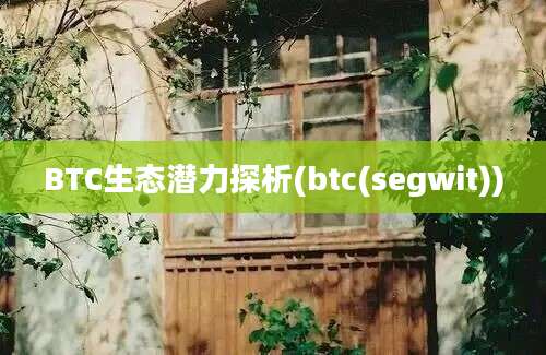 BTC生态潜力探析(btc(segwit))