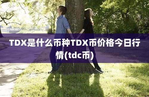 TDX是什么币种TDX币价格今日行情(tdc币)