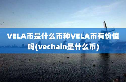 VELA币是什么币种VELA币有价值吗(vechain是什么币)