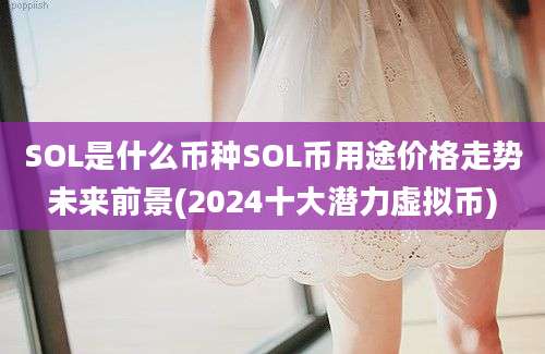 SOL是什么币种SOL币用途价格走势未来前景(2024十大潜力虚拟币)