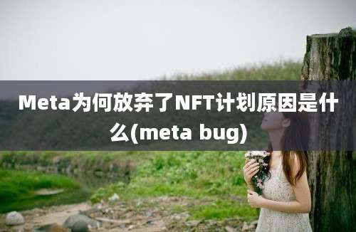 Meta为何放弃了NFT计划原因是什么(meta bug)