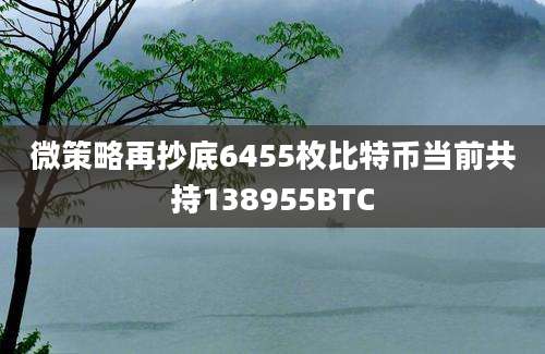 微策略再抄底6455枚比特币当前共持138955BTC