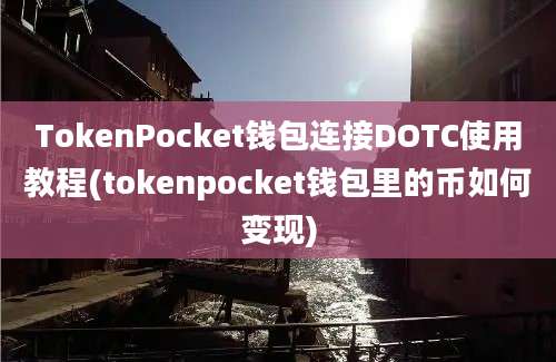 TokenPocket钱包连接DOTC使用教程(tokenpocket钱包里的币如何变现)