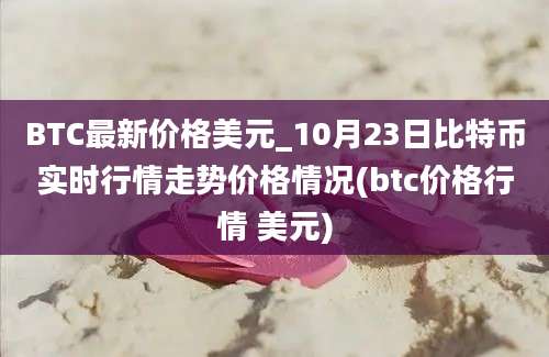 BTC最新价格美元_10月23日比特币实时行情走势价格情况(btc价格行情 美元)