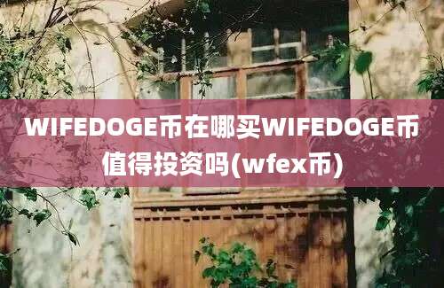 WIFEDOGE币在哪买WIFEDOGE币值得投资吗(wfex币)