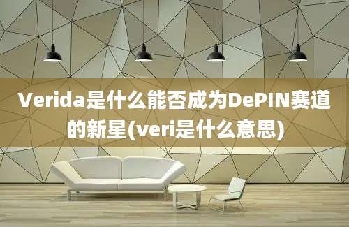 Verida是什么能否成为DePIN赛道的新星(veri是什么意思)