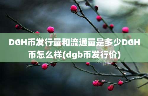 DGH币发行量和流通量是多少DGH币怎么样(dgb币发行价)