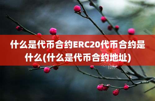 什么是代币合约ERC20代币合约是什么(什么是代币合约地址)