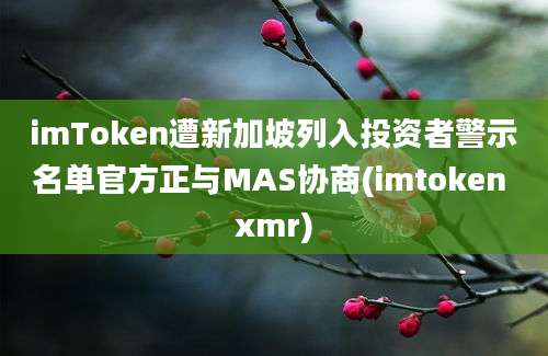 imToken遭新加坡列入投资者警示名单官方正与MAS协商(imtoken xmr)