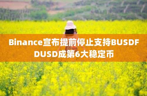 Binance宣布提前停止支持BUSDFDUSD成第6大稳定币