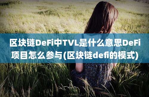 区块链DeFi中TVL是什么意思DeFi项目怎么参与(区块链defi的模式)