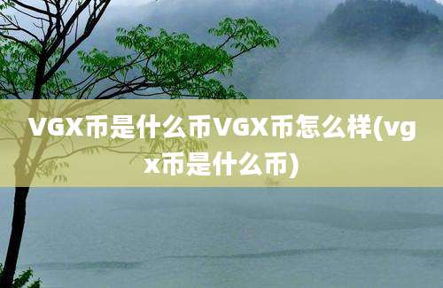 VGX币是什么币VGX币怎么样(vgx币是什么币)