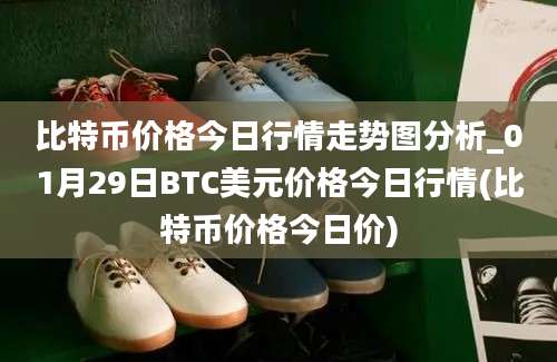 比特币价格今日行情走势图分析_01月29日BTC美元价格今日行情(比特币价格今日价)