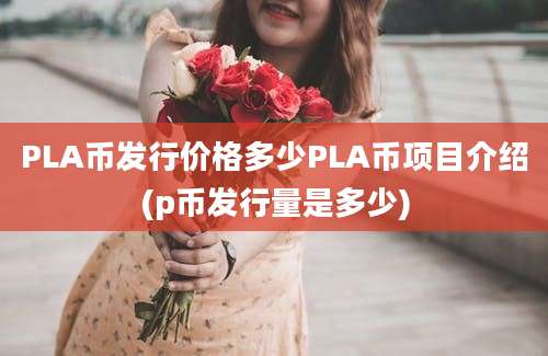 PLA币发行价格多少PLA币项目介绍(p币发行量是多少)