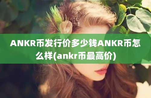 ANKR币发行价多少钱ANKR币怎么样(ankr币最高价)