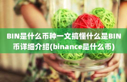 BIN是什么币种一文搞懂什么是BIN币详细介绍(binance是什么币)