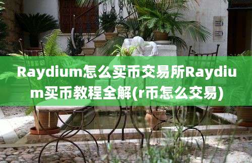 Raydium怎么买币交易所Raydium买币教程全解(r币怎么交易)