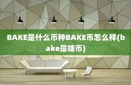 BAKE是什么币种BAKE币怎么样(bake是啥币)