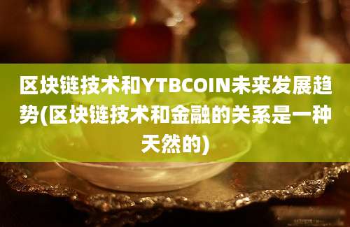 区块链技术和YTBCOIN未来发展趋势(区块链技术和金融的关系是一种天然的)