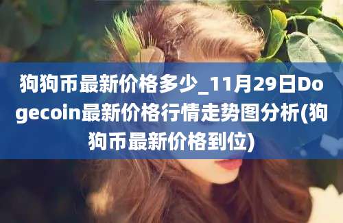 狗狗币最新价格多少_11月29日Dogecoin最新价格行情走势图分析(狗狗币最新价格到位)