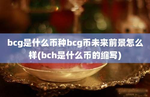 bcg是什么币种bcg币未来前景怎么样(bch是什么币的缩写)