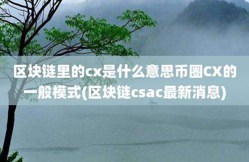 区块链里的cx是什么意思币圈CX的一般模式(区块链csac最新消息)