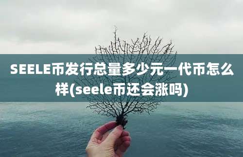 SEELE币发行总量多少元一代币怎么样(seele币还会涨吗)