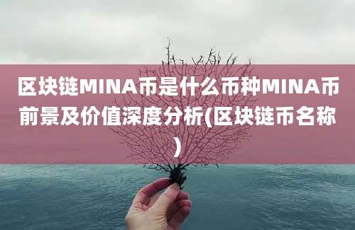 区块链MINA币是什么币种MINA币前景及价值深度分析(区块链币名称)