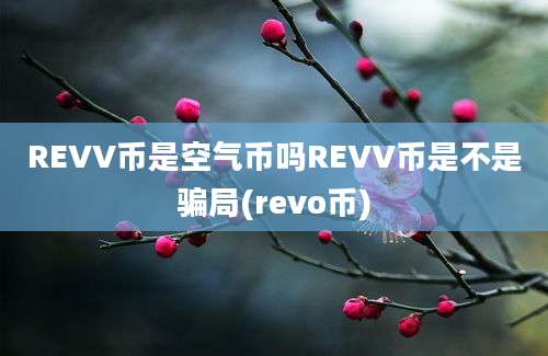 REVV币是空气币吗REVV币是不是骗局(revo币)