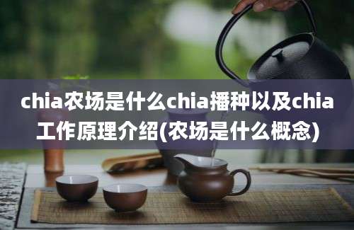 chia农场是什么chia播种以及chia工作原理介绍(农场是什么概念)