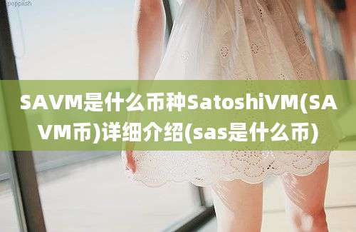 SAVM是什么币种SatoshiVM(SAVM币)详细介绍(sas是什么币)