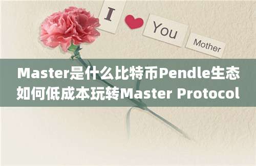 Master是什么比特币Pendle生态如何低成本玩转Master Protocol