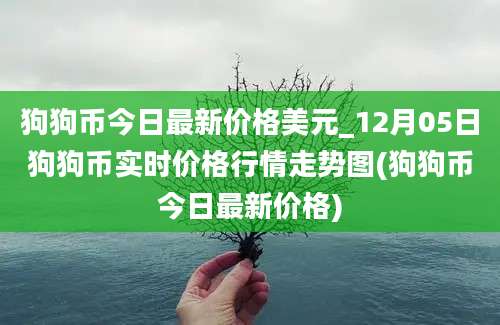 狗狗币今日最新价格美元_12月05日狗狗币实时价格行情走势图(狗狗币今日最新价格)