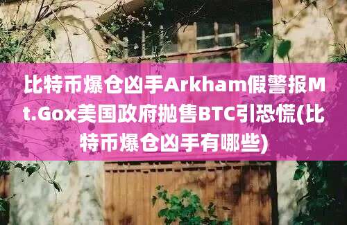 比特币爆仓凶手Arkham假警报Mt.Gox美国政府抛售BTC引恐慌(比特币爆仓凶手有哪些)