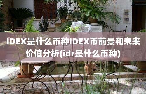 IDEX是什么币种IDEX币前景和未来价值分析(idr是什么币种)