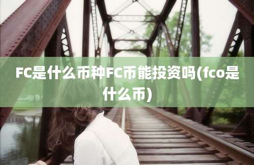 FC是什么币种FC币能投资吗(fco是什么币)