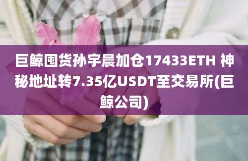 巨鲸囤货孙宇晨加仓17433ETH 神秘地址转7.35亿USDT至交易所(巨鲸公司)