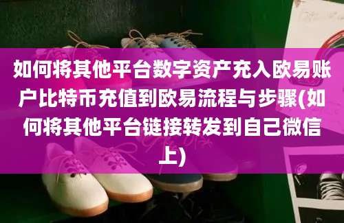 如何将其他平台数字资产充入欧易账户比特币充值到欧易流程与步骤(如何将其他平台链接转发到自己微信上)