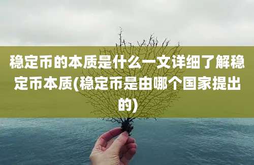 稳定币的本质是什么一文详细了解稳定币本质(稳定币是由哪个国家提出的)