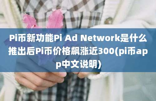 Pi币新功能Pi Ad Network是什么推出后Pi币价格飙涨近300(pi币app中文说明)