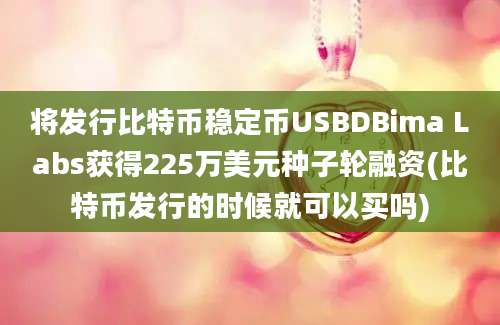 将发行比特币稳定币USBDBima Labs获得225万美元种子轮融资(比特币发行的时候就可以买吗)