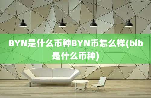 BYN是什么币种BYN币怎么样(bib是什么币种)